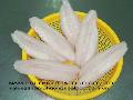 Pangasius Fillet, white meat