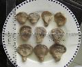 salted pleurotus ostreatus (oyster)