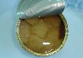 canned tuna