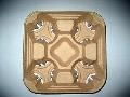 2 Or 4 Cavity Paper Pulp Cup Tray
