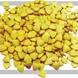  Pollen   Tablet 
