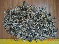 Stripped Sunflower seeds IREGI