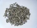 Stripped Sunflower seeds PIONERSKIY