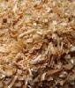 shrimp shell meal