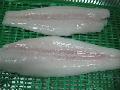 frozen Pangasius fillet