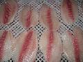  red   tilapia   fillet 