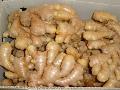 fresh ginger in carton