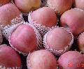 Chinese fuji apple 005