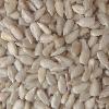 bakery grade sunflower kernels
