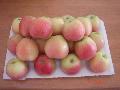 Chinese  gala   apple  001