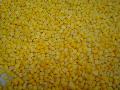  IQF   corn   kernel 