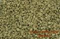 Green coffee bean Extract /Chlorogenic acid