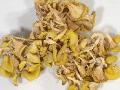 Golden Tremella