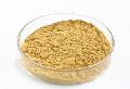 Instant green tea powder