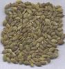 Shine Skin  Pumpkinseed   Kernels 