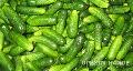 Pickled cucumber 3-6cm, 6-9 cm, 9-12 cm