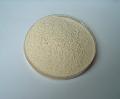  Ginseng  Root Extract 80% Ginsenosides