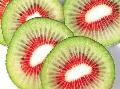 fresh hongyong kiwi fruit from original place of China