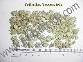 TRIBULLUS TERRESTRIS DRY EXTRACT