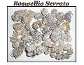 BOSWELLIA SERRATA (BOSWELLIC ACID 65%)