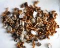 canned mixed mushrooms