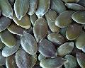 Pumpkin Seed Kernel Grown without Shell