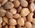 Sweet Apricot Kernels