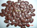 multivitamin tablets