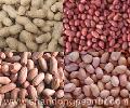  Raw   Peanuts 