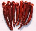 yidu chilli/ chili 