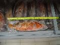 Frozen Coral Trout