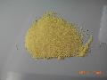 Sweet Corn Powder