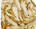 Boletus Edulis in brine