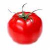 Lycopene