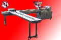 EARED TYPE SIDE FEED FLOWPACK WRAPPING MACHINE