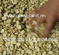 broad bean peeler