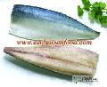 IQF Mackerel Fillet