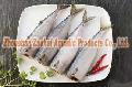 Mackerel HGT