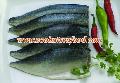Mackerel Fillets (Without any bone)