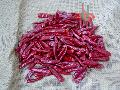 tianying chilli