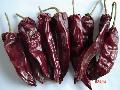  yidu  chilli