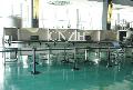 sterilzation tunnel conveyor