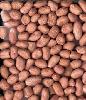 Organic Groundnut Kernels