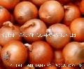 fresh yellow onion