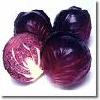 Cabbage Red Color