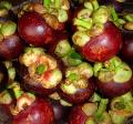 mangosteen extract, mangstin, polyphenol