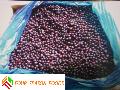 IQF cultivate blueberry