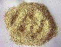  Yeast   powder  for  bakery 