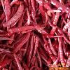  red   hot   chili 