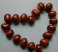 fresh chestnut with favorable price and top quality